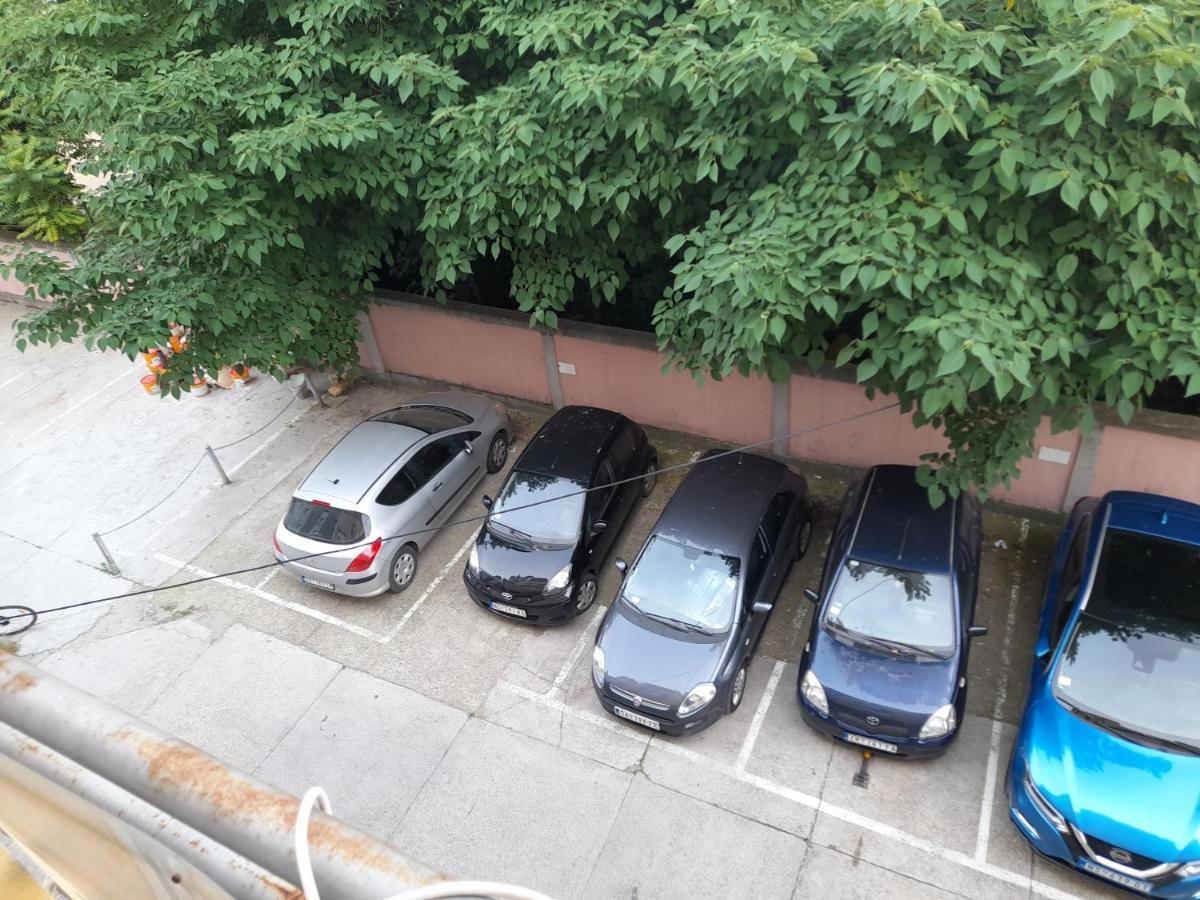 Nikola Ns Novi Sad Exterior foto